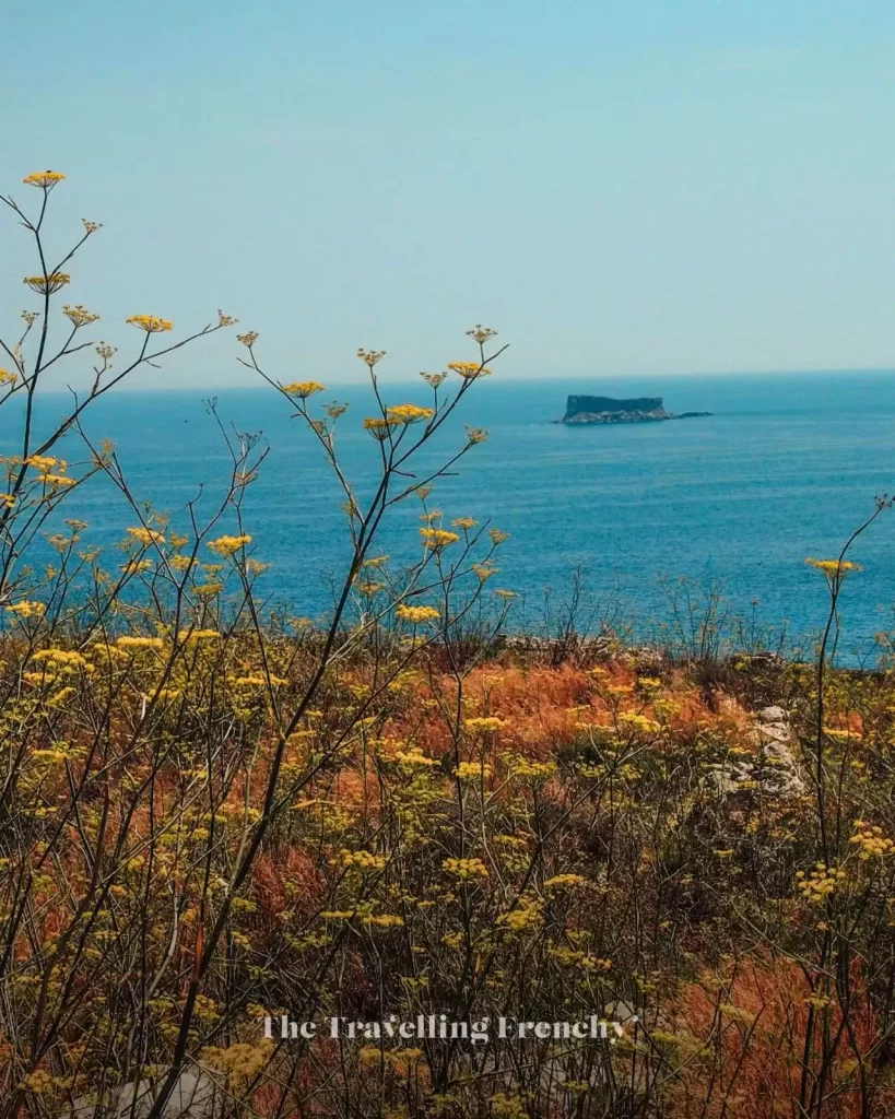 View from Ħaġar Qim