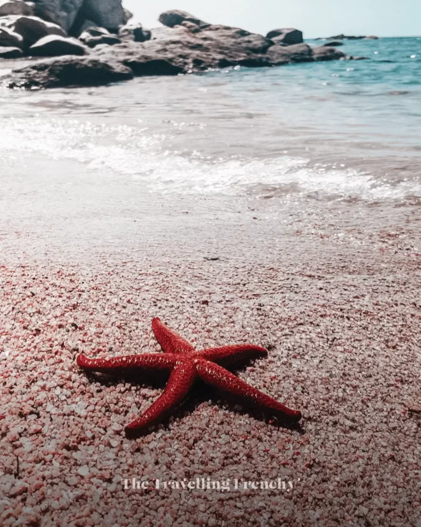 Plage de Pinarellu, Corsica, France