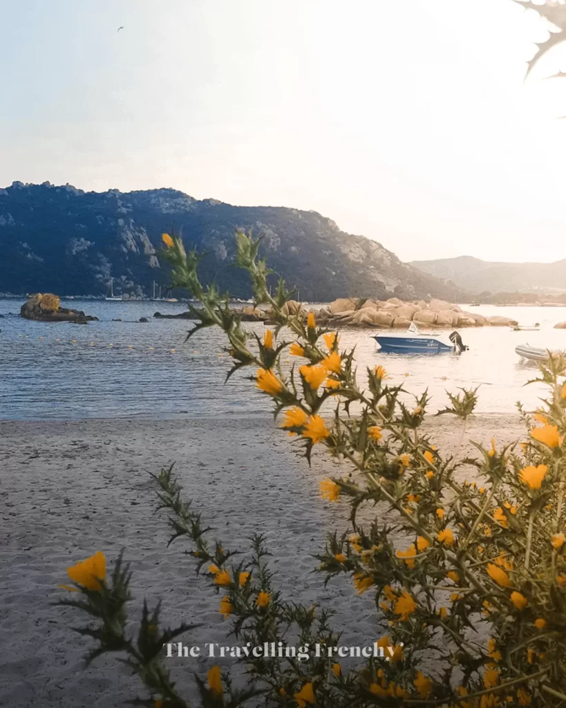 Sunset on Santa Giulia's beach, Corsica