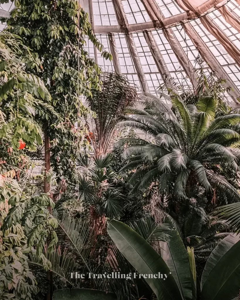The Botanical Garden in Copenhagen