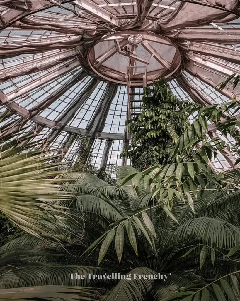 The Botanical Garden in Copenhagen