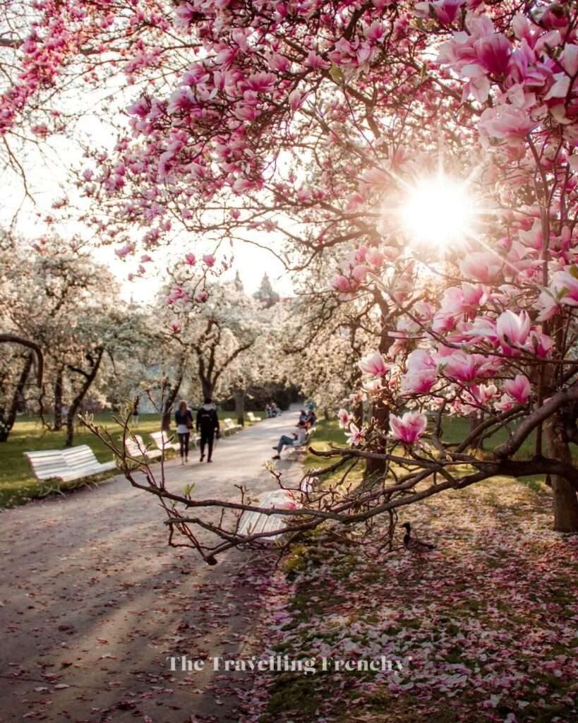 Vojan Garden during Spring in Prague