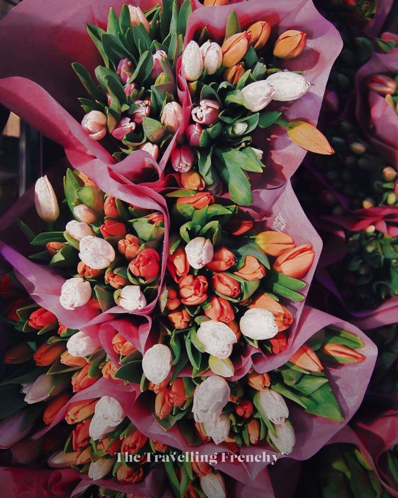 Aalsmeer Flower Auction