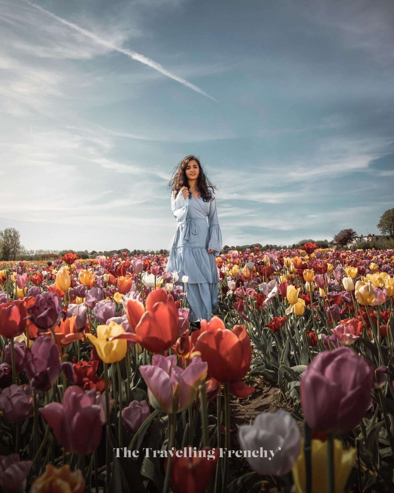 Annemieke's Picking Garden, Netherlands Tulip Fields