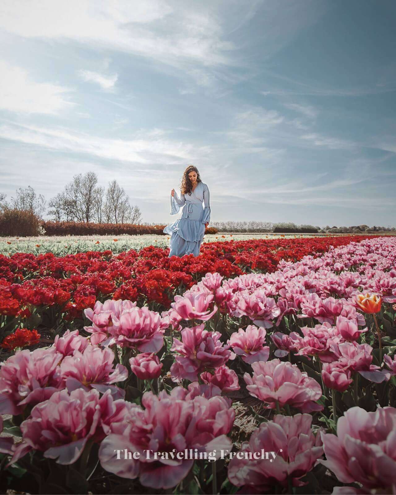 Annemieke's Picking Garden, Netherlands Tulip Fields