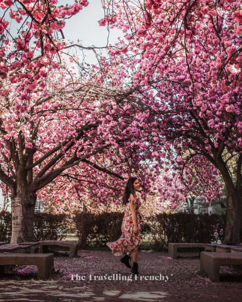 Faculty of Electrical Engineering in Prague during Spring