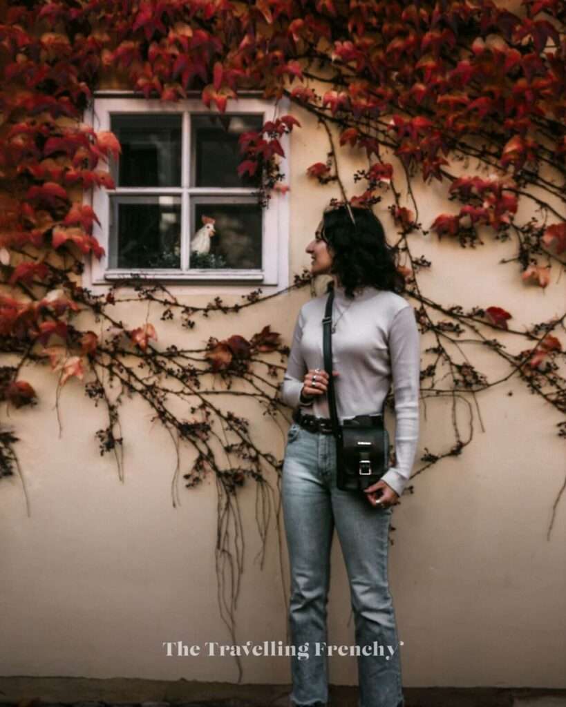 Gardens below Prague Castle during Fall
