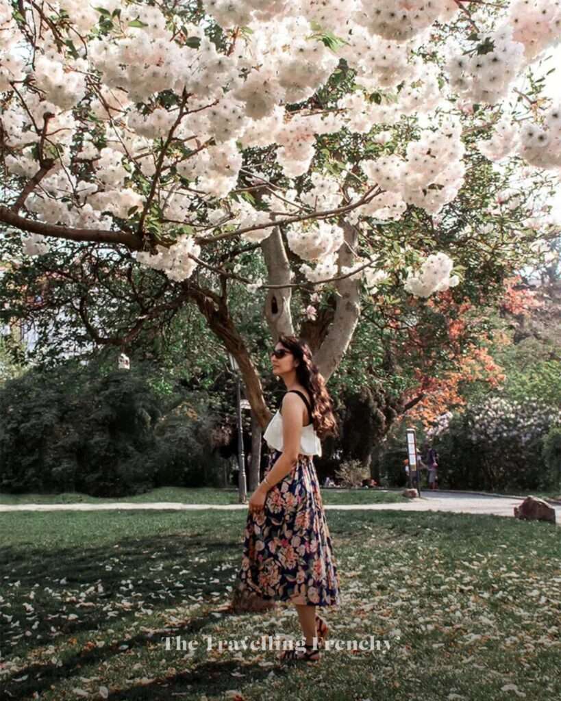 Grébovka in Prague during Spring