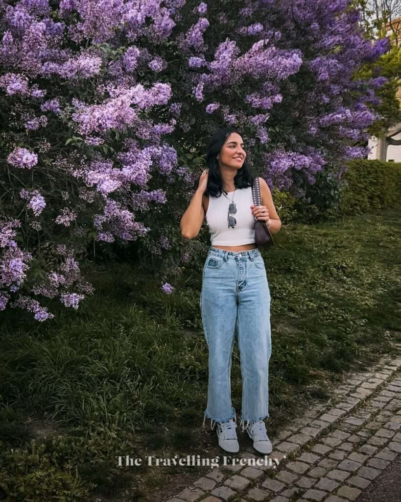 Grébovka in Prague during Spring