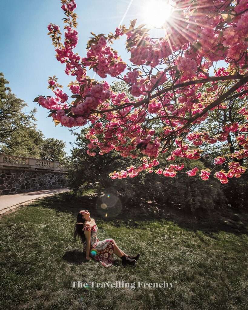 Grébovka in Prague during Spring