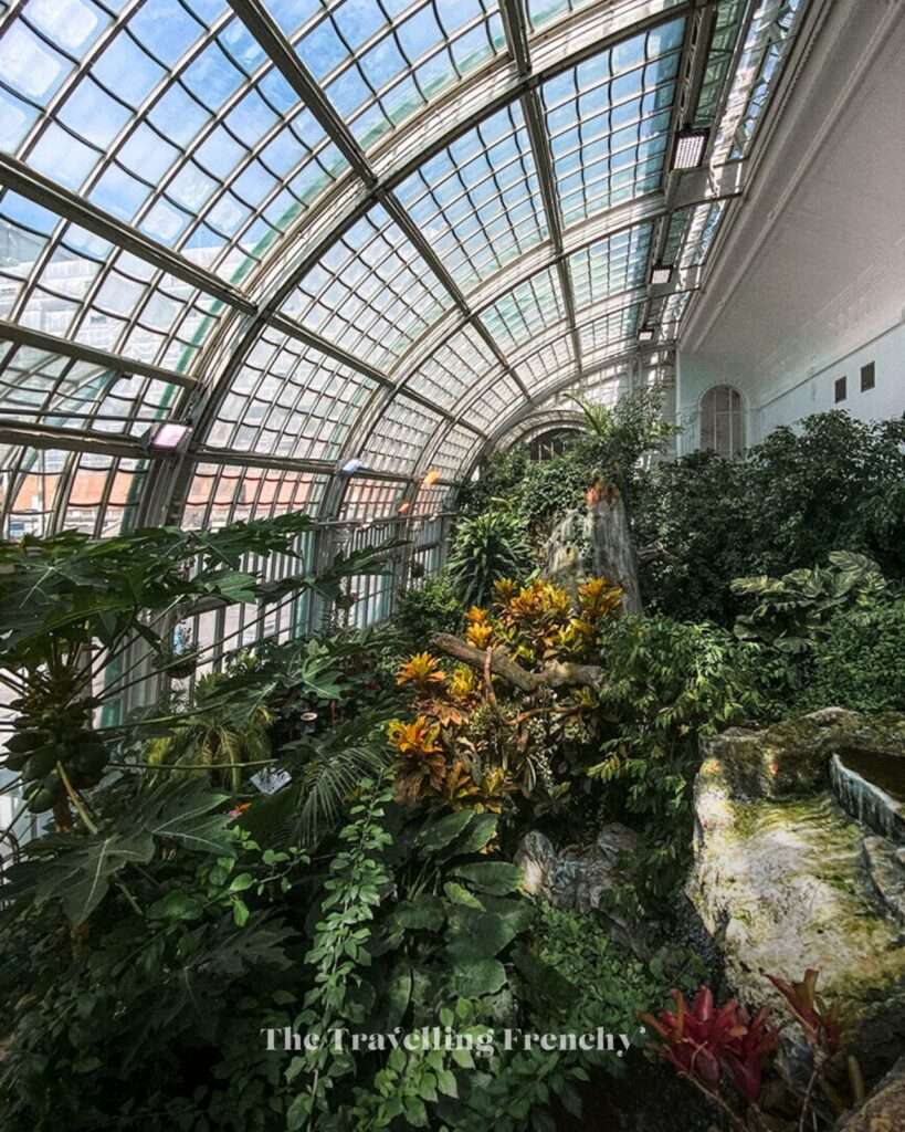 Imperial Butterfly House (Schmetterlinghaus) in Vienna