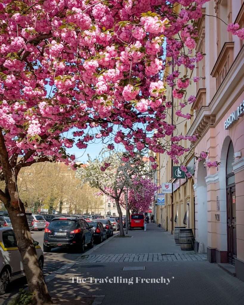 Karlínské náměstí in Prague