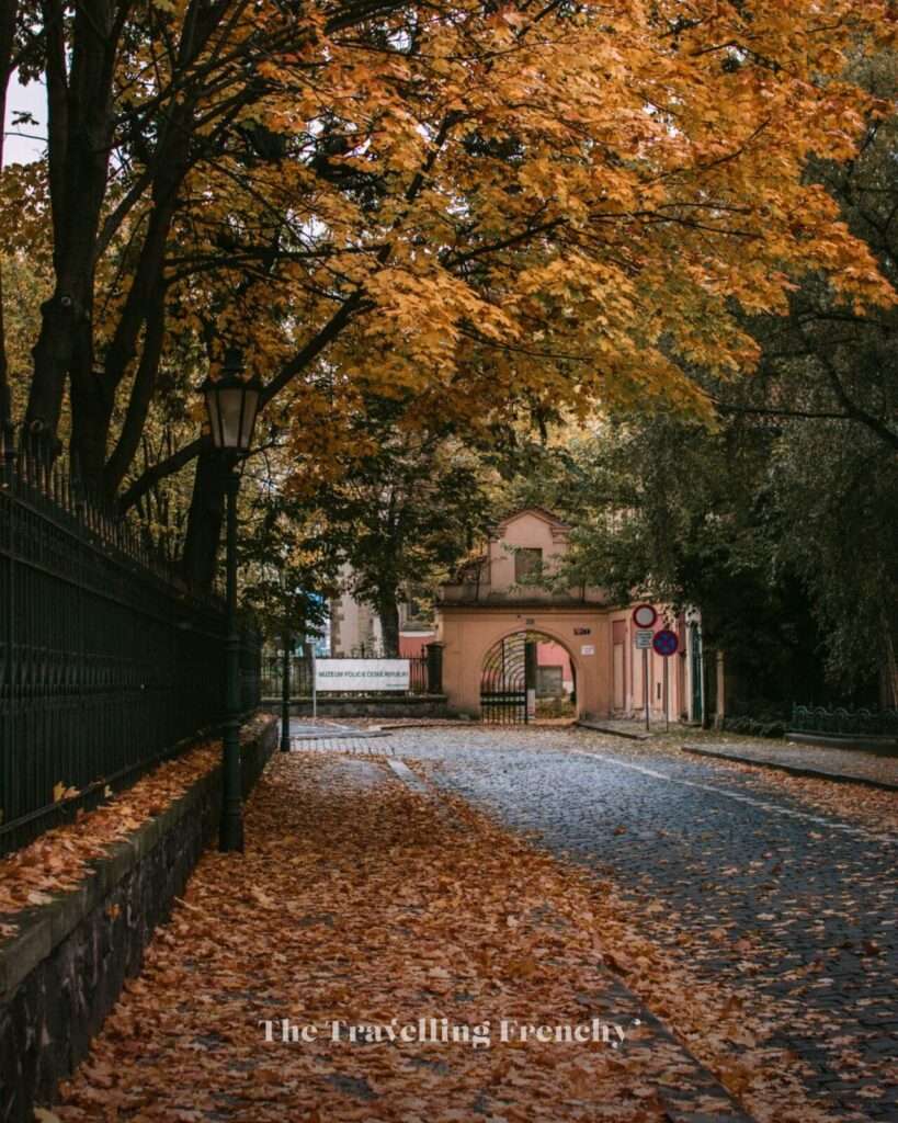 Ke Karlovu street in Prague during Fall