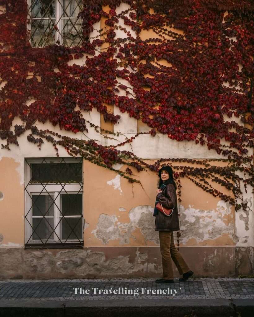 Ke Karlovu street in Prague during Fall