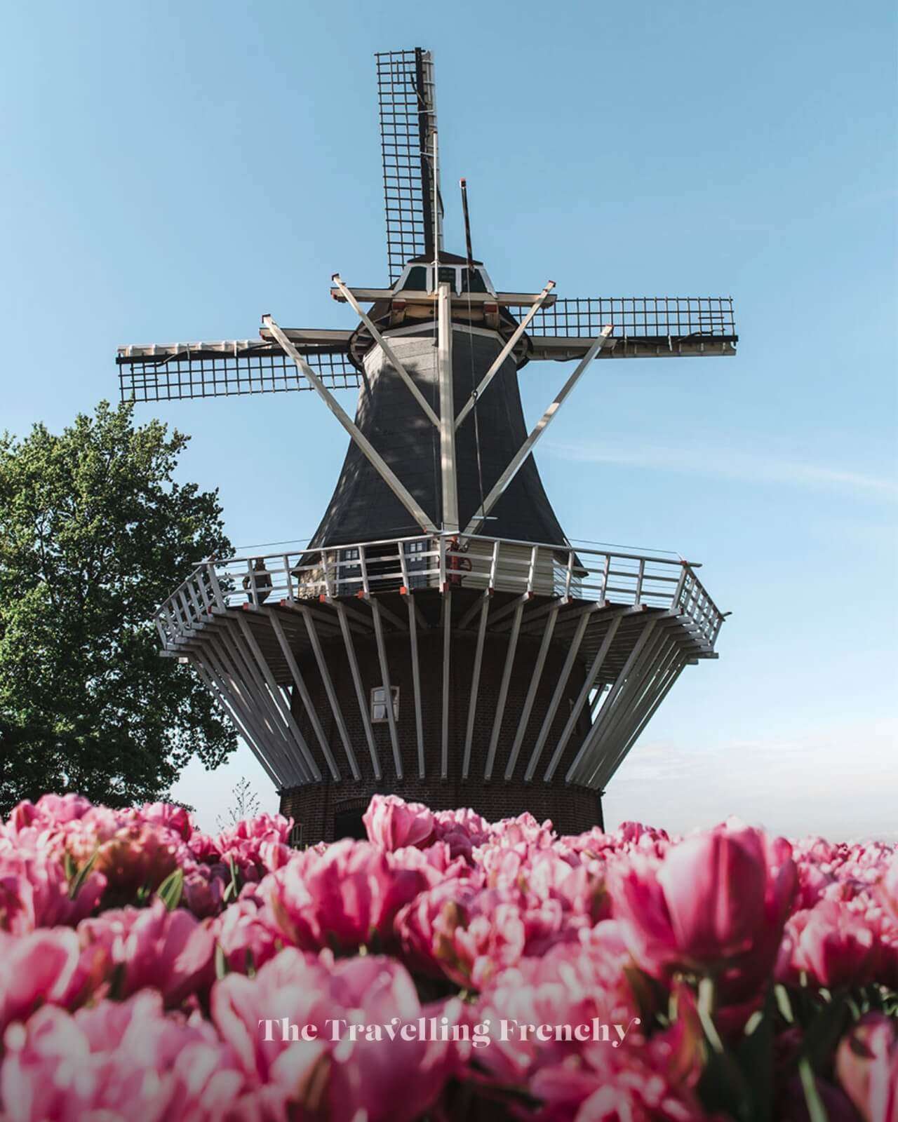 Keukenhof Gardens