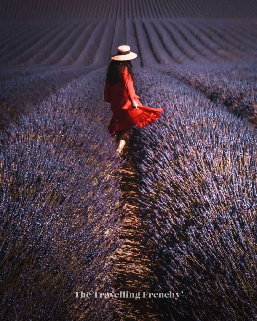 Lavender field in Valensole, South of France
