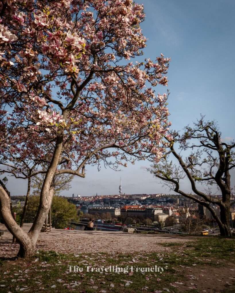 Letná Park in Prague during Spring
