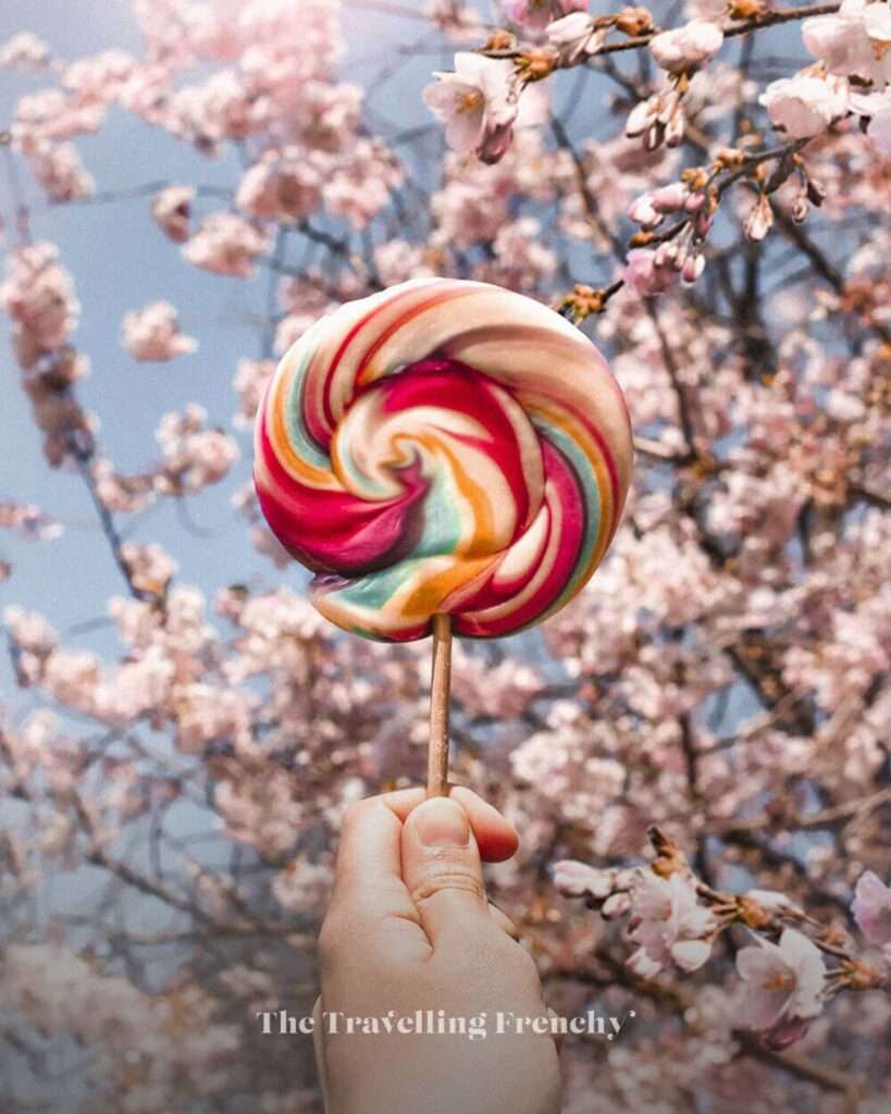 Lollipop in front of blooming tree in Prague