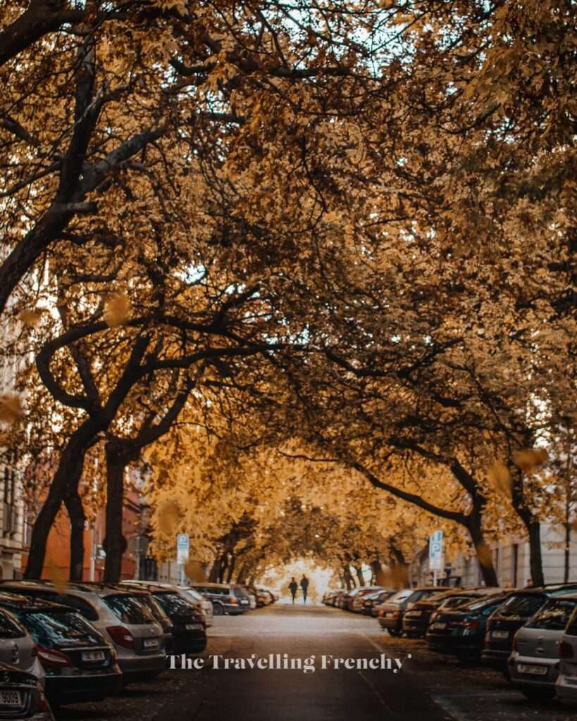 Lužická street, Prague during Fall