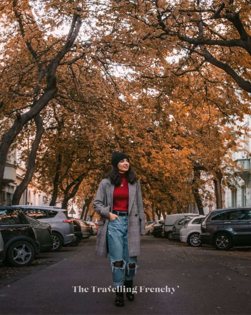 Lužická street, Prague during Fall