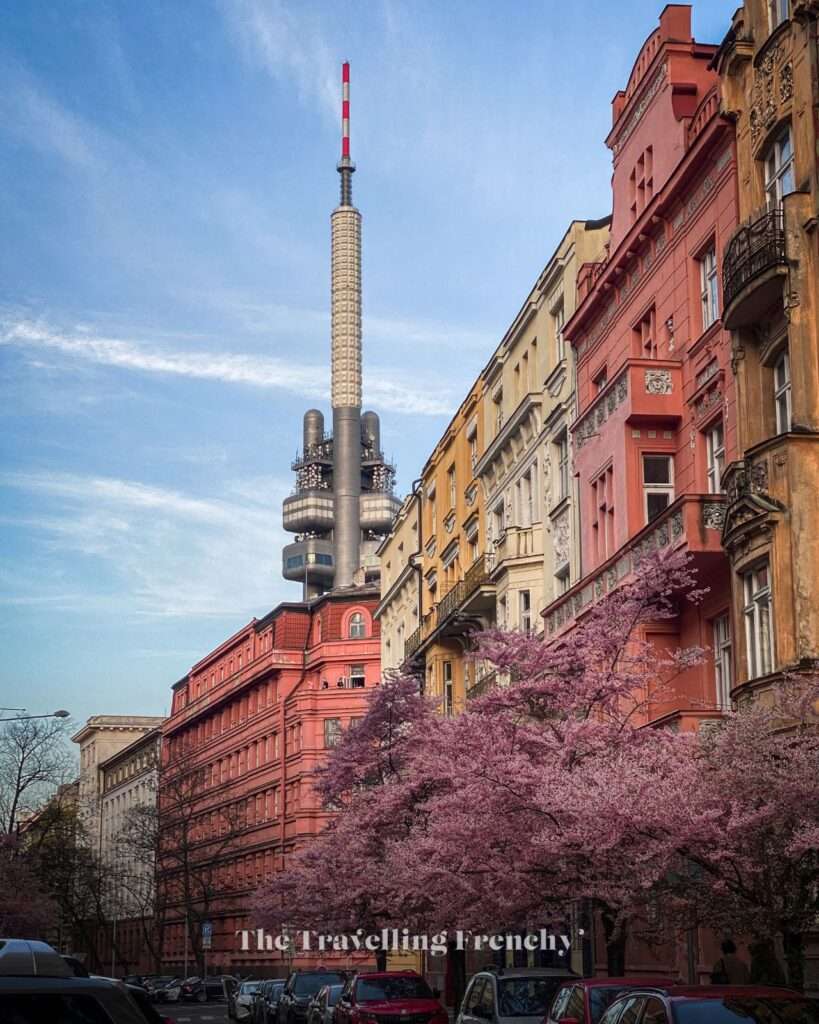 Na Švihance Street in Prague during Spring