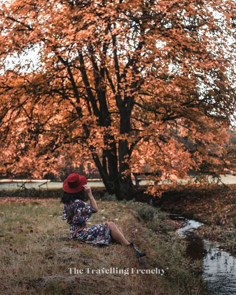 Průhonice Park in Prague during Fall