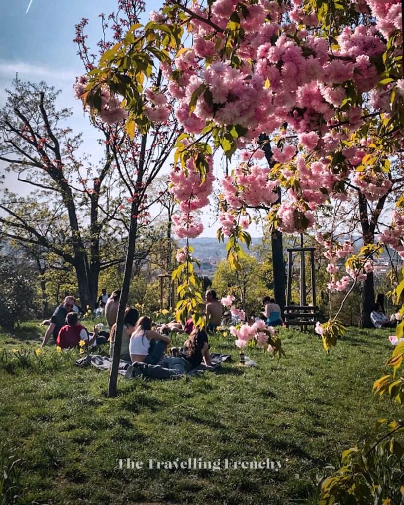 Riegrovy Sady in Prague