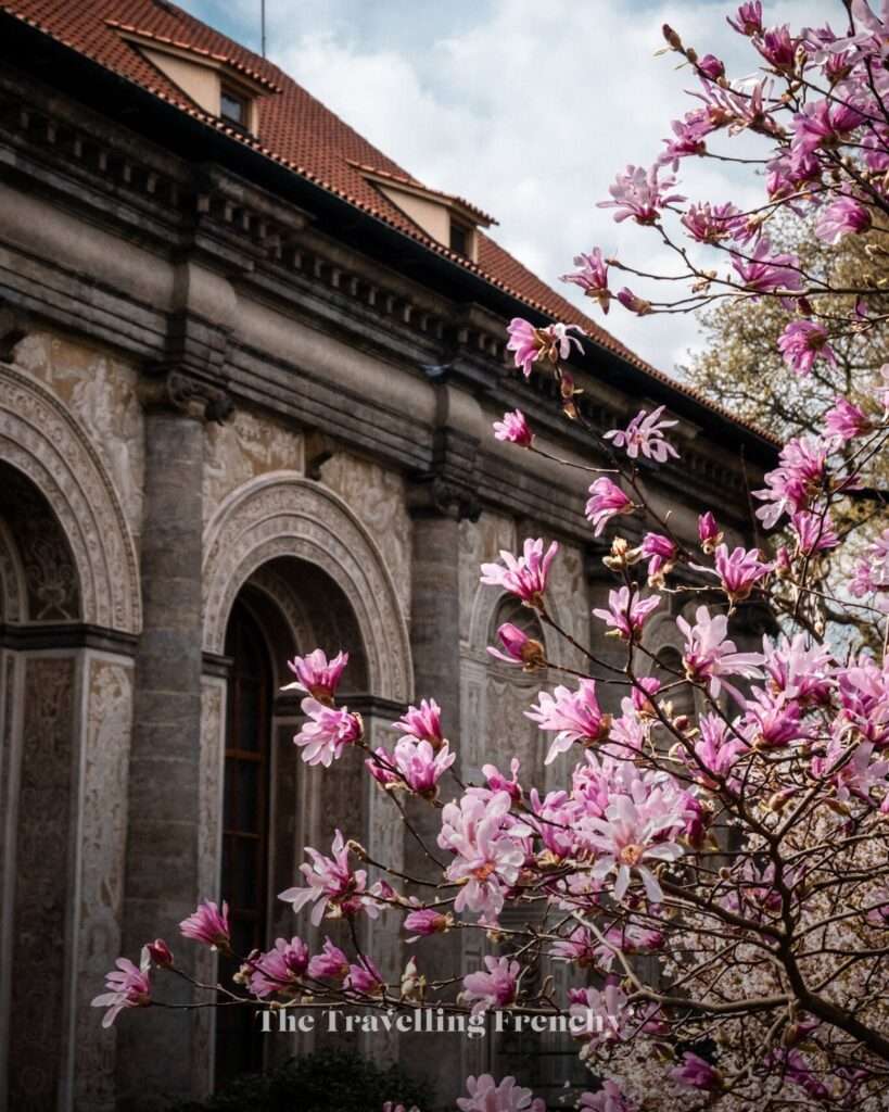 Royal Garden in Prague during Spring
