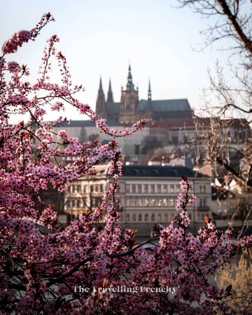 Smetanovo nábřeží in Prague during Spring