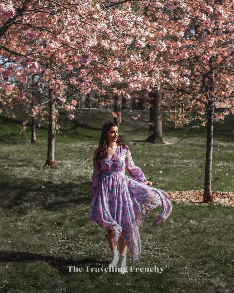Stromovka Park in Prague during Spring