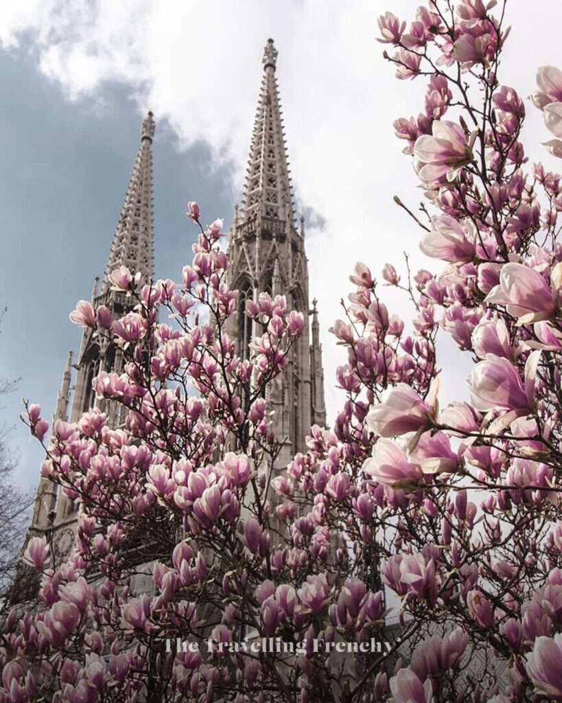 The Votive Church (Votivkirche) in Vienna