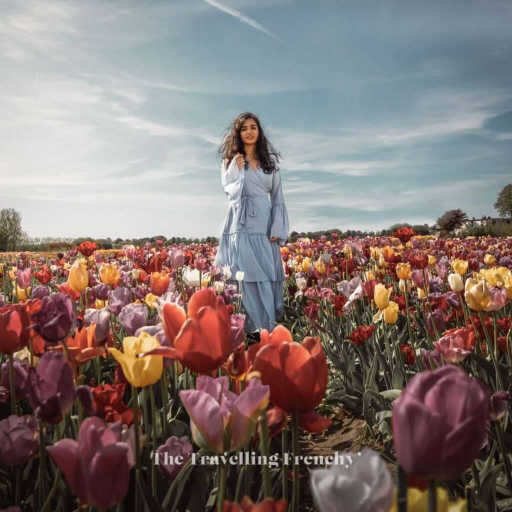 Annemieke's Picking Garden, Netherlands Tulip Fields