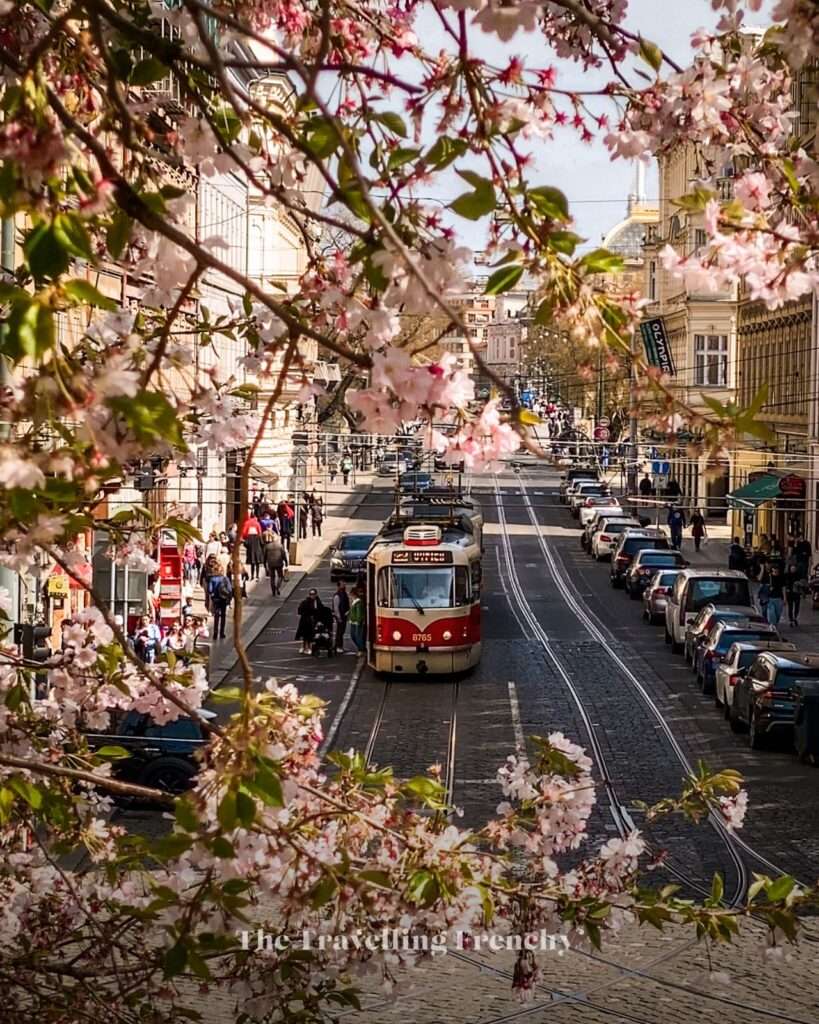 Újezd Tram stop in Prague during Spring