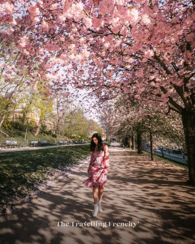 Újezd in Prague during Spring