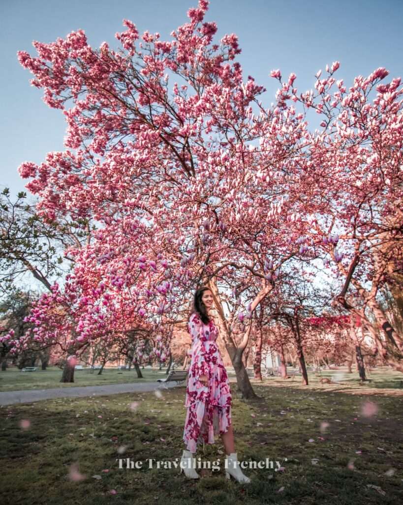 Vojan Garden Prague during Spring
