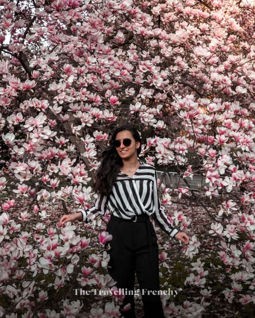 Vojan Garden Prague during Spring
