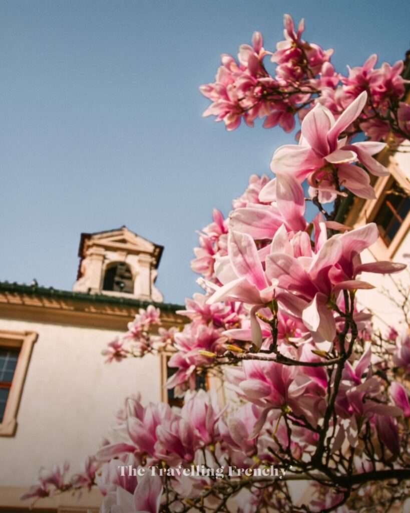 Wallenstein Garden in Prague during Spring