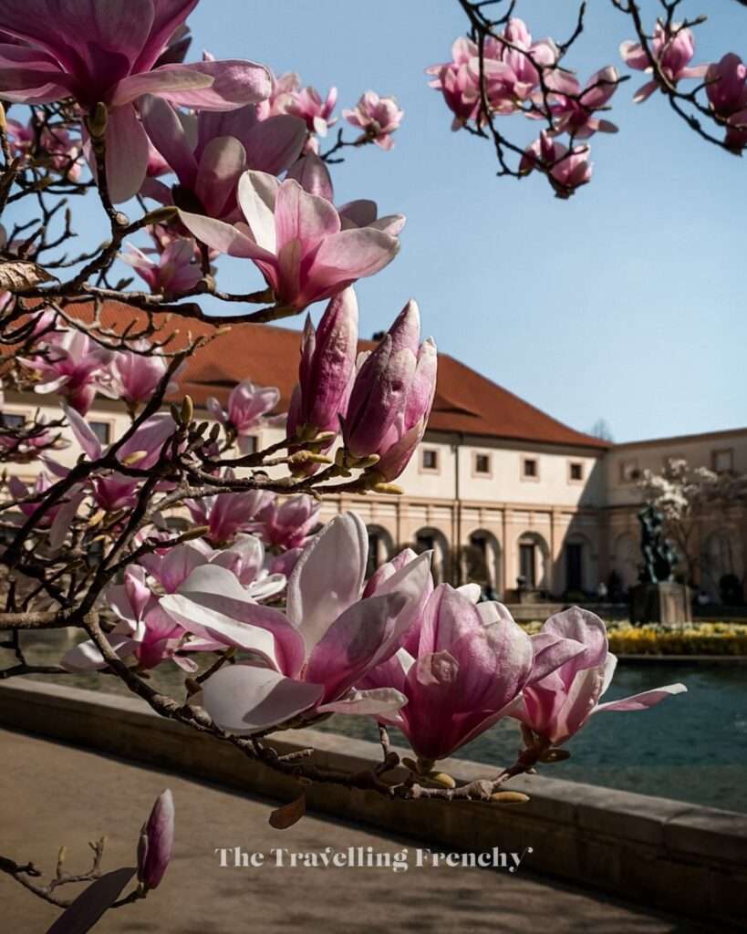 Wallenstein Garden in Prague during Spring