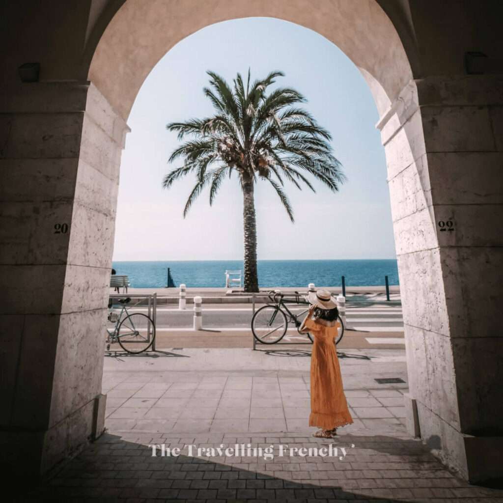 Palm tree in Nice, France