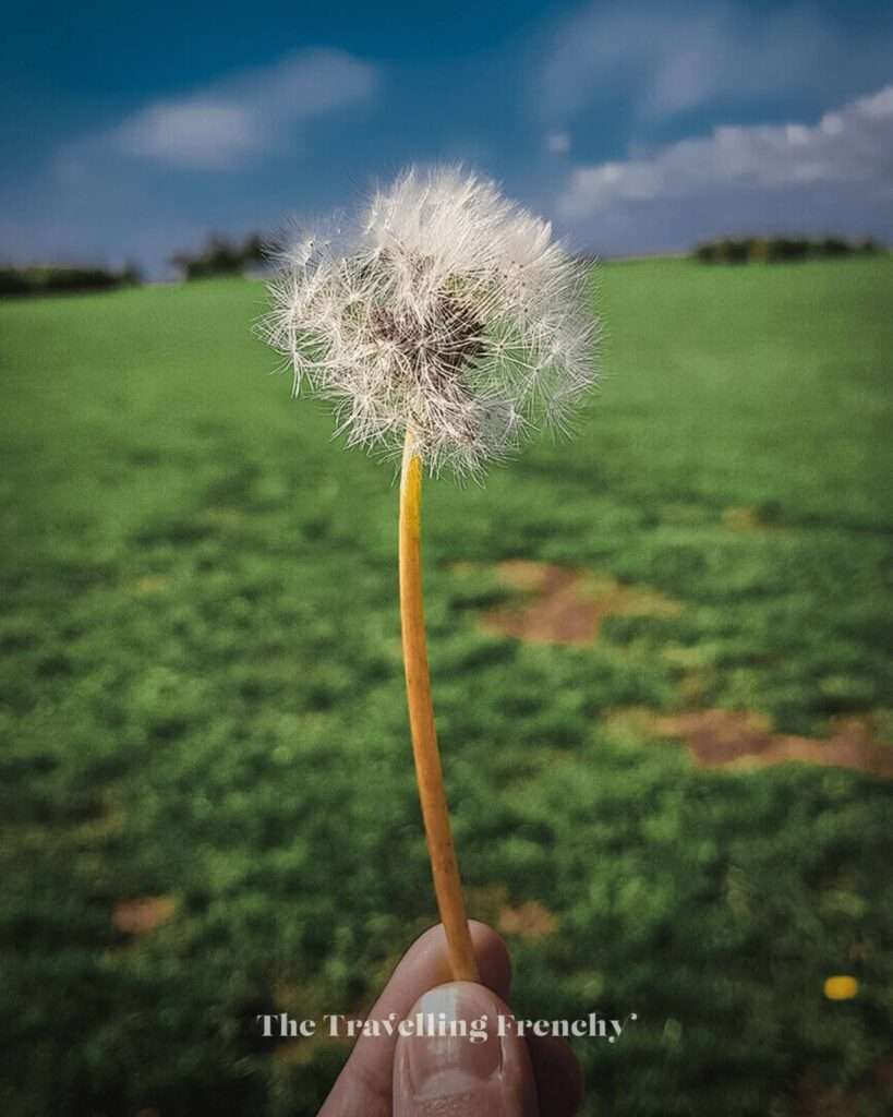 Turbinkanalen in Malmö