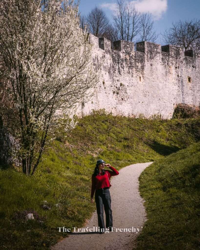 Celje Castle, Slovenia