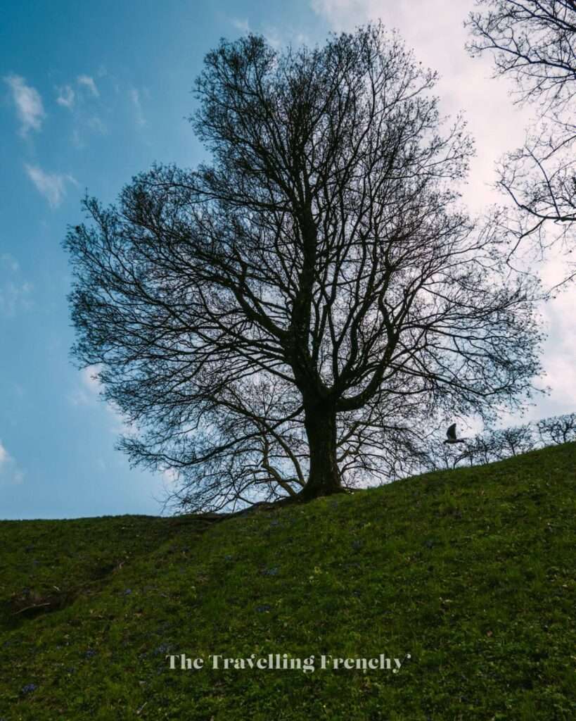 Ljubljana Castle Park