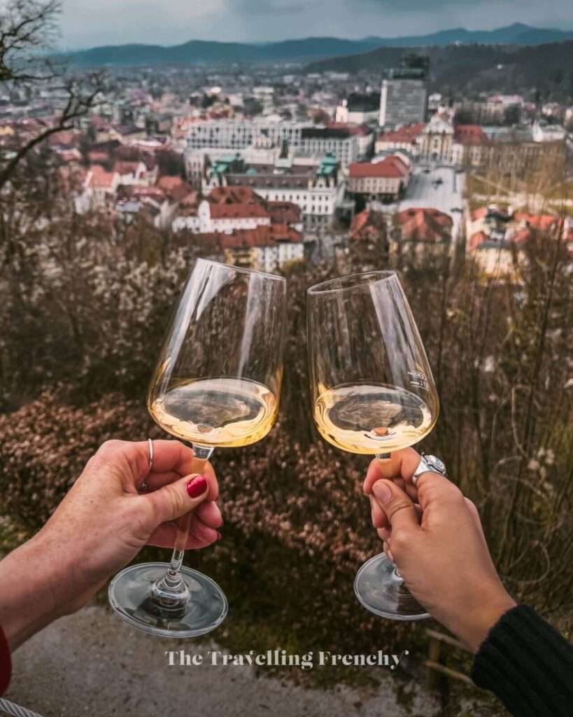 Ljubljana Wine from the Castle